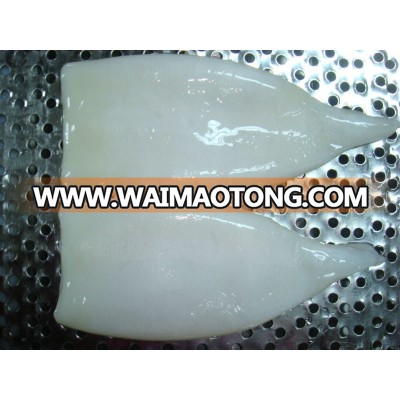 best quality new arrival high quality squid tube