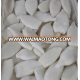 BQF Fresh 10kg/ctn Frozen Squid Tube U10 Wholesale