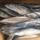 2018 Seafood Frozen Pacific Mackerel 400g-600g